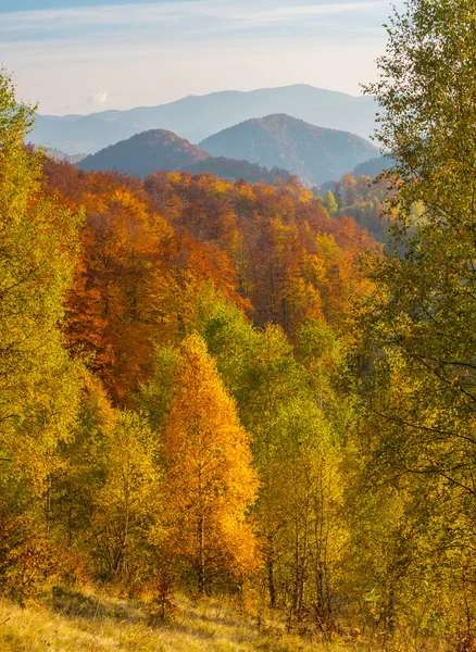 Levendige Herfst Kleuren Een Zonnige Dag Bergen Met Dramatische Storm — Stockfoto