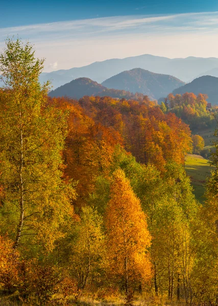 Levendige Herfst Kleuren Een Zonnige Dag Bergen Met Dramatische Storm — Stockfoto