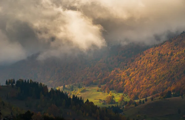 Zářivé Podzimní Barvy Slunného Dne Horách Dramatickým Bouřkové Mraky — Stock fotografie