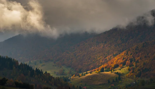 Herbstliche Landschaft Den Bergen Mit Schönem Laub Und Dramatischen Regenwolken — Stockfoto