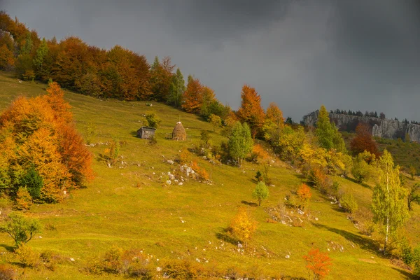 Lebendige Herbstfarben Einem Sonnigen Tag Den Bergen Mit Dramatischen Gewitterwolken — Stockfoto