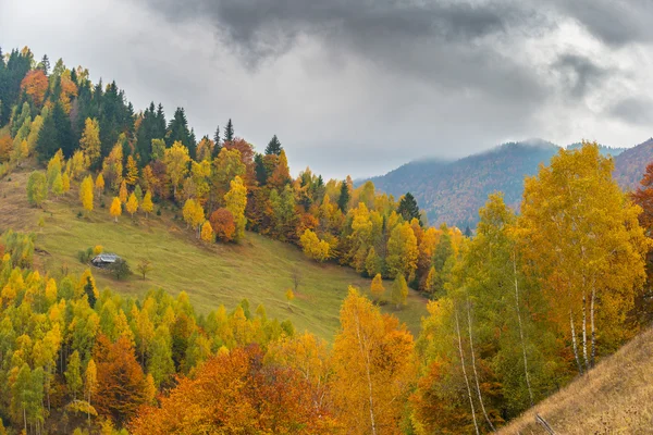 Lebendige Herbstfarben Einem Sonnigen Tag Den Bergen Mit Dramatischen Gewitterwolken — Stockfoto