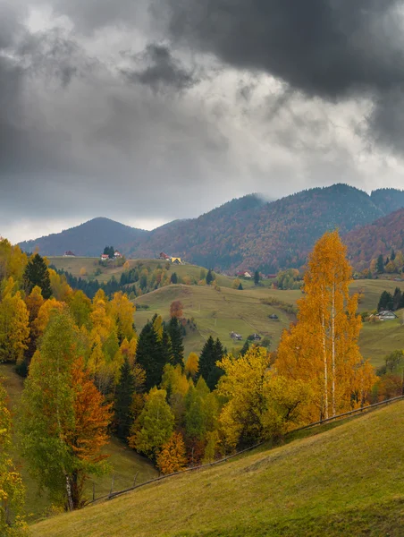 Lebendige Herbstfarben Einem Sonnigen Tag Den Bergen Mit Dramatischen Gewitterwolken — Stockfoto