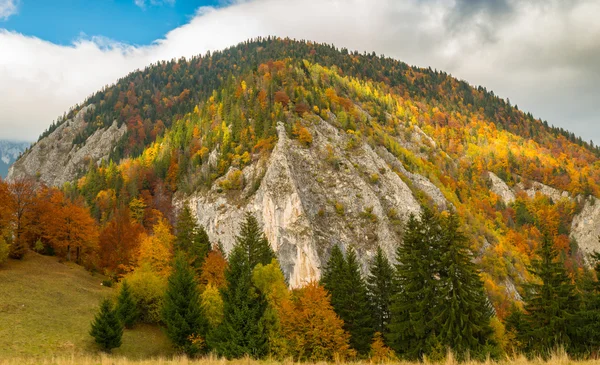 Lebendige Herbstfarben Einem Sonnigen Tag Den Bergen Mit Dramatischen Gewitterwolken — Stockfoto