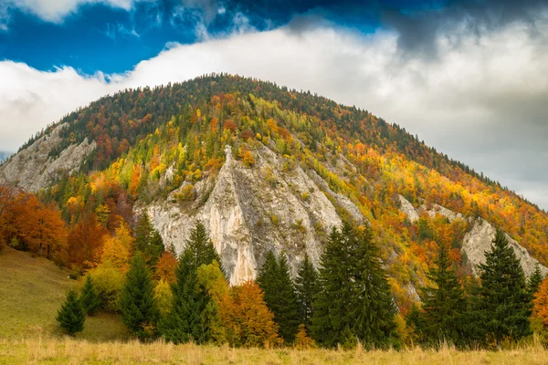 Lebendige Herbstfarben Einem Sonnigen Tag Den Bergen Mit Dramatischen Gewitterwolken — Stockfoto