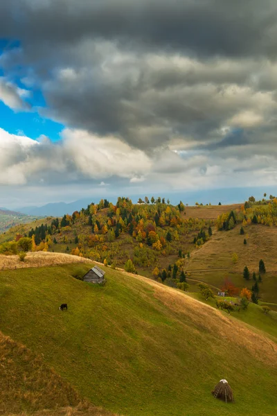Autumn panorama in the mountains — Stock Photo, Image