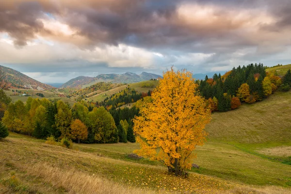 Dağlarda sonbahar panorama — Stok fotoğraf