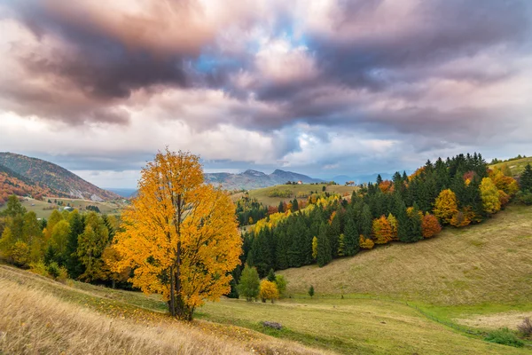 Dağlarda sonbahar panorama — Stok fotoğraf