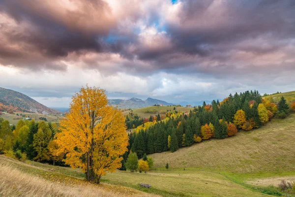 Herbstpanorama in den Bergen — Stockfoto
