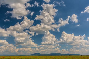 Beautiful pasture with spring flowers and clouds in Transylvania