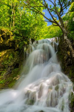 Güzel şelaleler bahar ormanın derinliklerinde