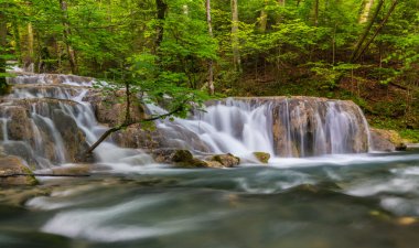 Güzel şelaleler bahar ormanın derinliklerinde