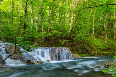 Güzel şelaleler bahar ormanın derinliklerinde