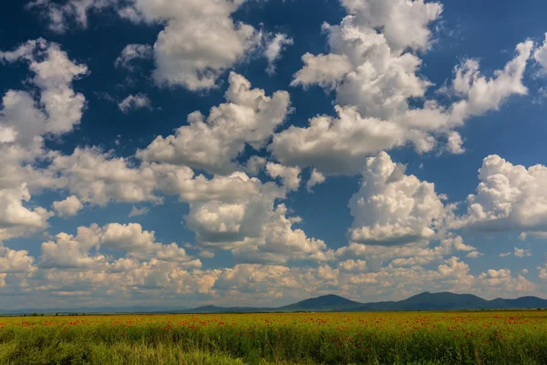 Beautiful Pasture Spring Flowers Clouds Transylvania — ストック写真