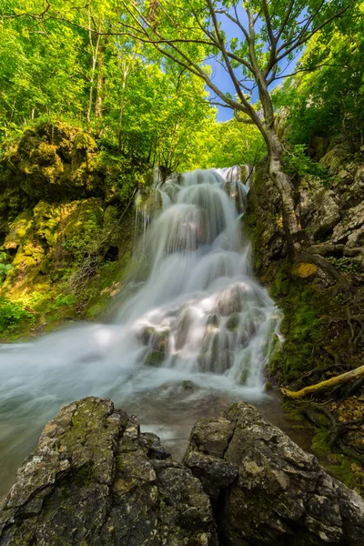 Hermosas Cascadas Profundo Del Bosque Primavera — Foto de Stock