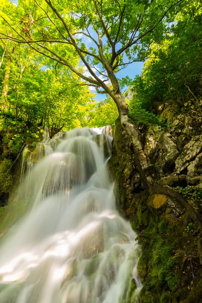 Beautiful Waterfalls Deep Forest Spring — Stock Photo, Image