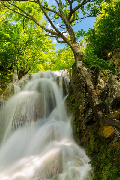 Beautiful Waterfalls Deep Forest Spring — Stock Photo, Image
