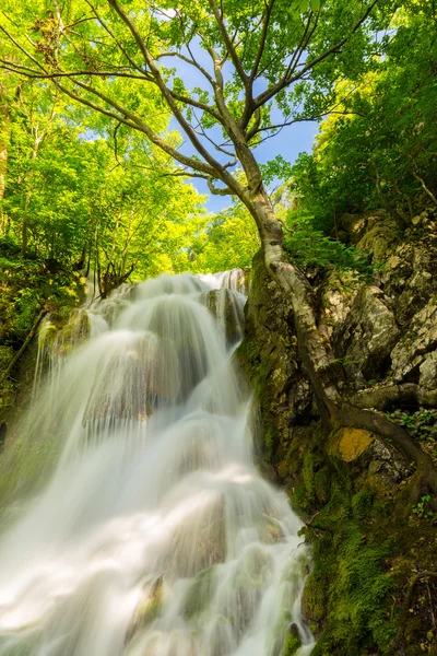 Beautiful Waterfalls Deep Forest Spring — Stock Photo, Image