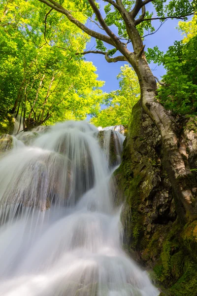 Beautiful Waterfalls Deep Forest Spring — Stock Photo, Image