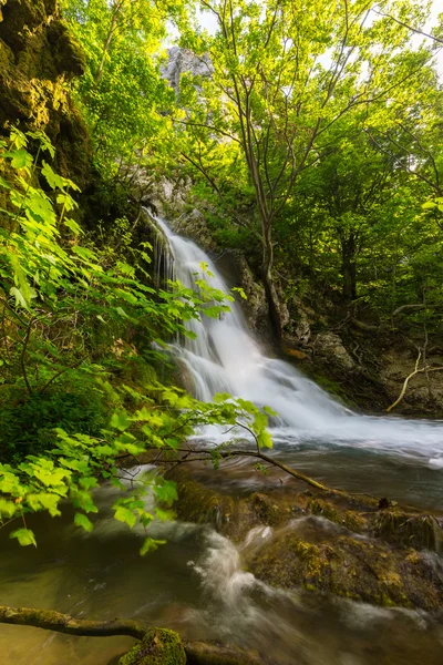 Pięknych Wodospadów Głęboko Lesie Wiosnę — Zdjęcie stockowe