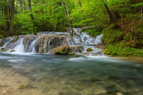 Belles Cascades Fond Forêt Printemps — Photo