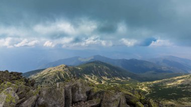 Sis ve bulutlar yağmur sonra Alpleri'nde köknar ağacı ormanda
