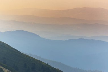 Sis ve bulutlar yağmur sonra Alpleri'nde köknar ağacı ormanda
