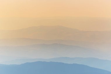 Sis ve bulutlar köknar ağacı ormanda bahar Alpleri'nde