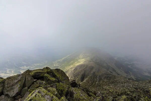 Mgły Chmur Lesie Drzewa Jodły Alpach Deszczu — Zdjęcie stockowe