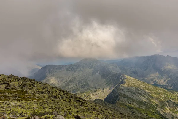 Brume Nuages Dans Forêt Sapins Dans Les Alpes Après Pluie — Photo