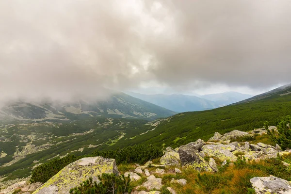 Niebla Nubes Bosque Abetos Los Alpes Después Lluvia — Foto de Stock