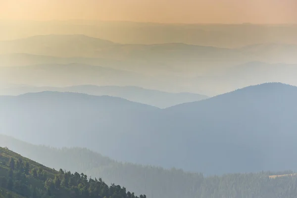 Niebla Nubes Bosque Abetos Los Alpes Después Lluvia — Foto de Stock