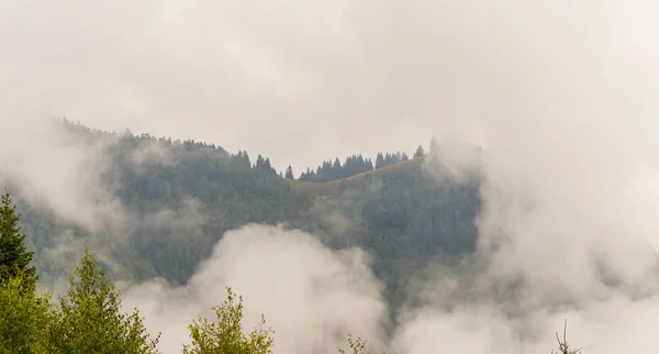 Niebla y nubes en el bosque de abetos en los Alpes — Foto de Stock