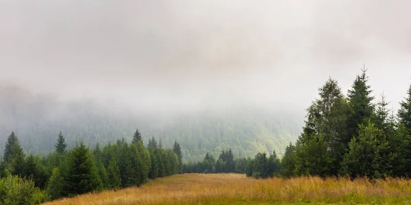 Brume et nuages dans la forêt de sapins dans les Alpes — Photo