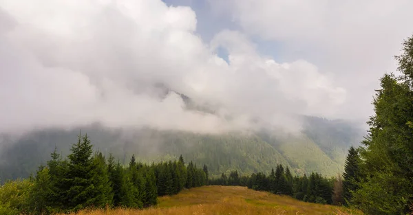 Niebla y nubes en el bosque de abetos en los Alpes — Foto de Stock