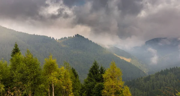 Niebla y nubes en el bosque de abetos en los Alpes en primavera — Foto de Stock