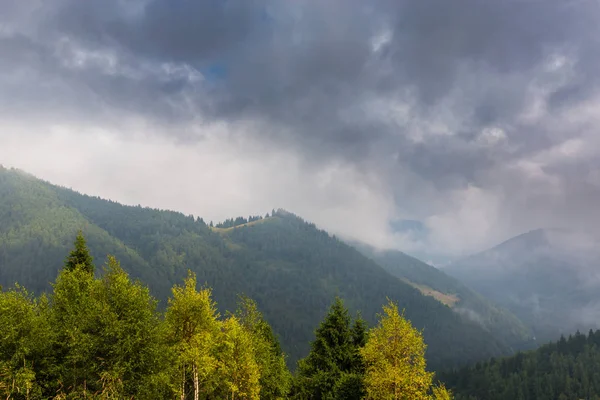 Sis ve bulutlar köknar ağacı ormanda bahar Alpleri'nde — Stok fotoğraf