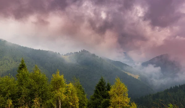 Brume et nuages dans la forêt de sapins dans les Alpes au printemps — Photo