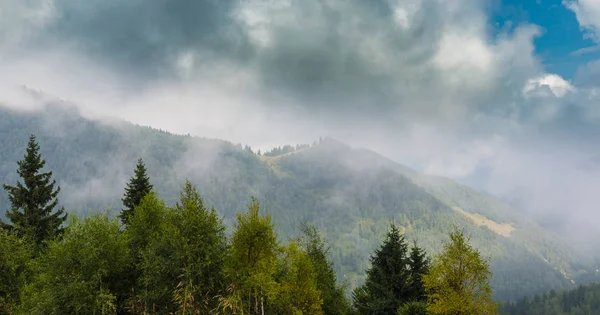 Niebla y nubes en el bosque de abetos en los Alpes en primavera — Foto de Stock