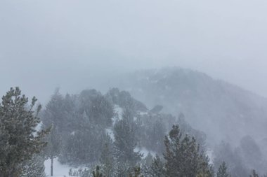 Kış manzarası kar fırtınasında dağlar köknar ağaçlarıyla