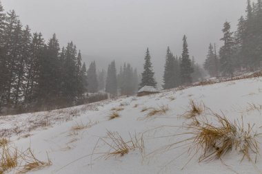Kış manzarası kar fırtınasında dağlar köknar ağaçlarıyla