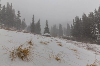 Kış manzarası kar fırtınasında dağlar köknar ağaçlarıyla