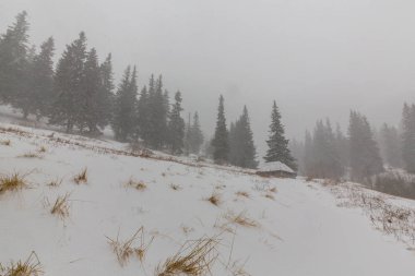 Kış manzarası kar fırtınasında dağlar köknar ağaçlarıyla