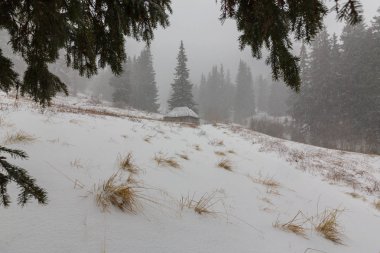 Kış manzarası kar fırtınasında dağlar köknar ağaçlarıyla