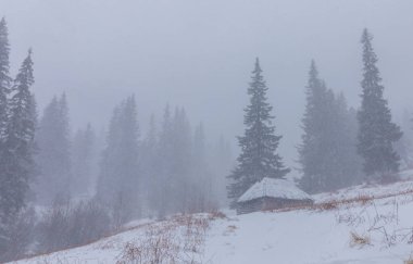 Kış manzarası kar fırtınasında dağlar köknar ağaçlarıyla