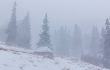 Kış manzarası kar fırtınasında dağlar köknar ağaçlarıyla