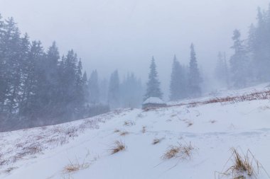 Kış manzarası kar fırtınasında dağlar köknar ağaçlarıyla
