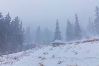 Kış manzarası kar fırtınasında dağlar köknar ağaçlarıyla