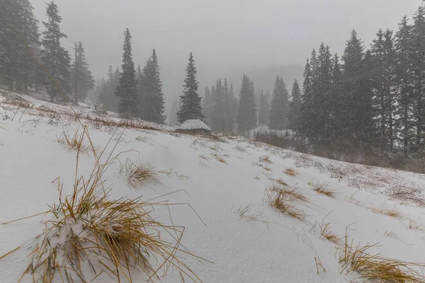 Kış manzarası kar fırtınasında dağlar köknar ağaçlarıyla