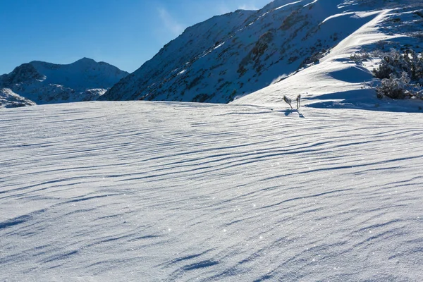 Hermoso paisaje de invierno en las montañas, en un día soleado brillante — Foto de Stock